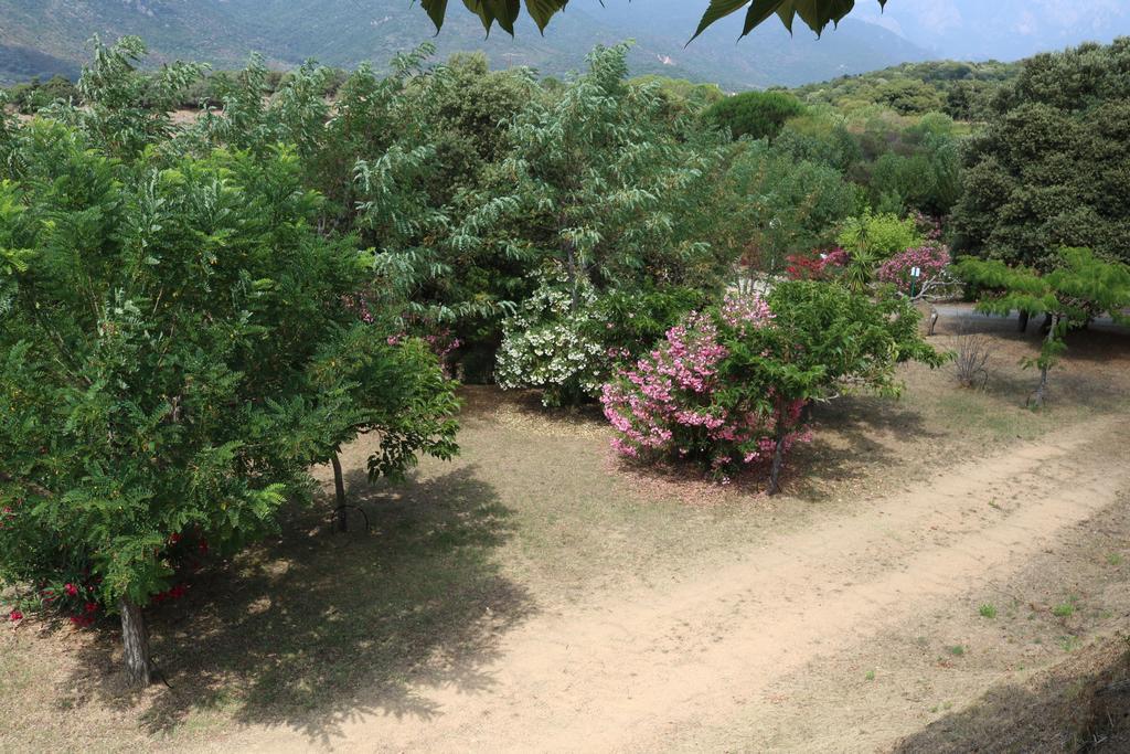 Camping Les Couchants Casaglione Exterior foto